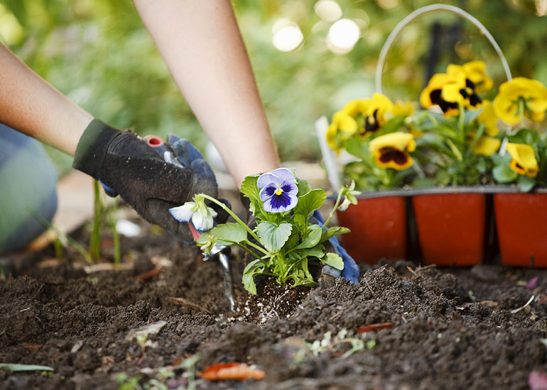 A kertészkedés jót tesz az egészségnek